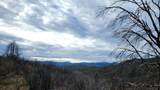 228 acres Old Bully Choop Road - Photo 30