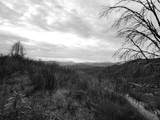 228 acres Old Bully Choop Road - Photo 31