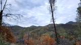 228 acres Old Bully Choop Road - Photo 33