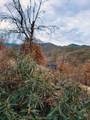 228 acres Old Bully Choop Road - Photo 34