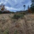 228 acres Old Bully Choop Road - Photo 36