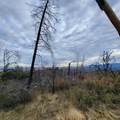 228 acres Old Bully Choop Road - Photo 39