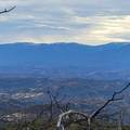 228 acres Old Bully Choop Road - Photo 42