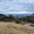 228 acres Old Bully Choop Road - Photo 46