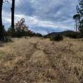 228 acres Old Bully Choop Road - Photo 49