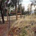 228 acres Old Bully Choop Road - Photo 5