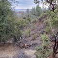 228 acres Old Bully Choop Road - Photo 50