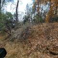 228 acres Old Bully Choop Road - Photo 51