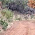 228 acres Old Bully Choop Road - Photo 54