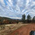 228 acres Old Bully Choop Road - Photo 56