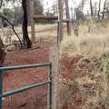 228 acres Old Bully Choop Road - Photo 6