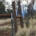 228 acres Old Bully Choop Road - Photo 7