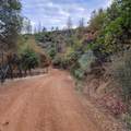 228 acres Old Bully Choop Road - Photo 8