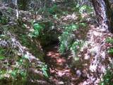 144 acres Gilman Road - Photo 29