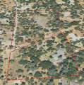13519 Lynda Lynn Way - Photo 2