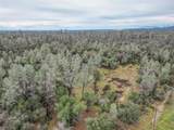  Shasta Gateway Drive - Photo 8