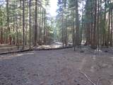  Philippian Way - Photo 1