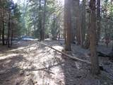  Philippian Way - Photo 10