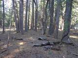  Philippian Way - Photo 9