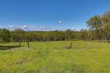 13332 Road Runner Loop - Photo 10