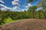 13332 Road Runner Loop - Photo 11