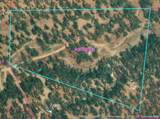  Black Pine Road - Photo 1