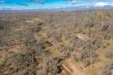  Black Pine Road - Photo 5