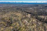  Black Pine Road - Photo 7
