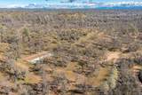  Black Pine Road - Photo 9