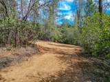 0000 Quail Run Road - Photo 4