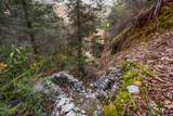 19563 Roaring Brook Way - Photo 49
