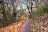 19563 Roaring Brook Way - Photo 50