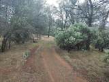  Mylindas Way - Photo 11