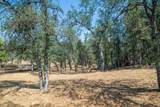 19410 Palermo Court - Photo 10