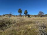 000 Platina Road - Photo 3