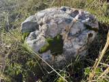 000 Platina Road - Photo 4