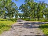 12060 Lazy Lane - Photo 29