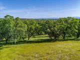 12060 Lazy Lane - Photo 35