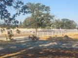 12060 Lazy Lane - Photo 39