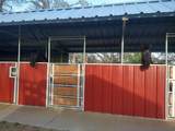 12060 Lazy Lane - Photo 44