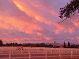 12060 Lazy Lane - Photo 46