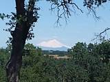 12060 Lazy Lane - Photo 49