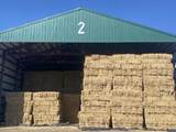 553-185 Punkin Center Road - Photo 10