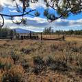 501-050 Hwy 44 - Photo 1