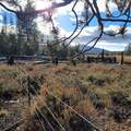 501-050 Hwy 44 - Photo 12