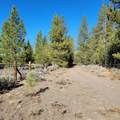 501-050 Hwy 44 - Photo 15