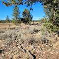 501-050 Hwy 44 - Photo 16