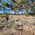 501-050 Hwy 44 - Photo 17