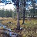 501-050 Hwy 44 - Photo 2