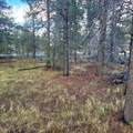 501-050 Hwy 44 - Photo 4